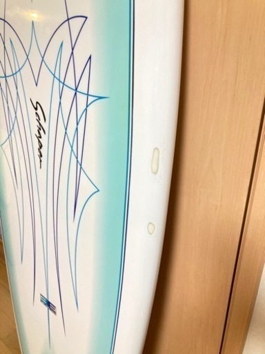 South Point Surf Board Schaper  フィッシュ　サーフボード　5’10　ツインフィン