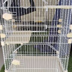 猫ケージ、水飲み