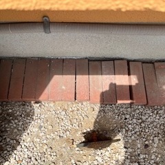 ［商談中］赤レンガの画像