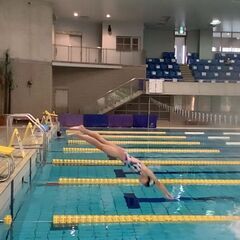【8月】横浜国際プールを1レーン貸し切って個人レッスンをしたい方募集！ 【水中撮影も可】の画像