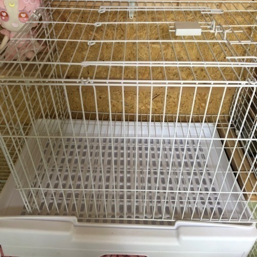 値下げ!!うさぎゲージ