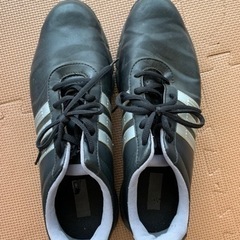 ゴルフシューズ(27.5cm)+シューズケースの画像