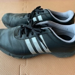 ゴルフシューズ(27.5cm)+シューズケースの画像