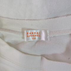 男の子上1枚、下1枚の画像