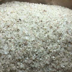 くず米 30キロ 2000円 餌等でお使いください。の画像
