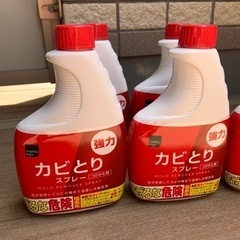 未使用品★カビとりスプレーのセットの画像