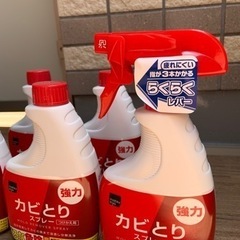 未使用品★カビとりスプレーのセットの画像