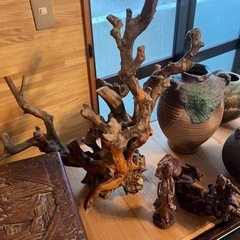 壺、桜の木？の画像