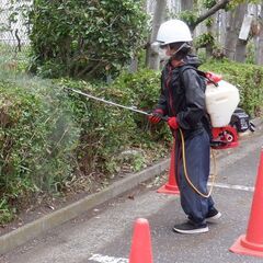 軽作業スタッフ募集中！！草むしり、草刈、枝切り　などの画像