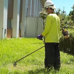 草刈、枝切、草むしり  軽作業スタッフ募集中！の画像