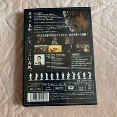 【値下げ】まぼろしの色彩を追って　DVDの画像