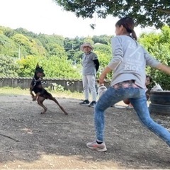 ５月26日☀️夜須で犬のしつけ教室開催🙋‍♀️🐕の画像