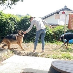 ５月26日☀️夜須で犬のしつけ教室開催🙋‍♀️🐕の画像