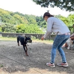 ５月26日☀️夜須で犬のしつけ教室開催🙋‍♀️🐕の画像