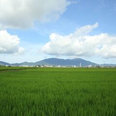 【長靴好きはぜひ♪】長靴で泥濘散歩の画像