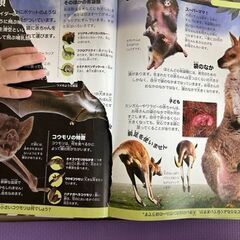 子ども図鑑　カバーなし【府中市近郊、または近くまで取りに来られる方】の画像