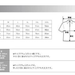 アメリカンイーグル メンズ ポロシャツAEO SOLID POLOの画像
