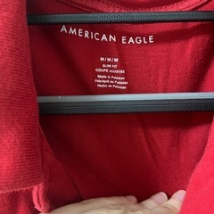 アメリカンイーグル メンズ ポロシャツAEO SOLID POLOの画像
