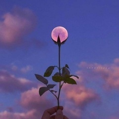 🌕『MAX瞑想会』メンバー募集🌕