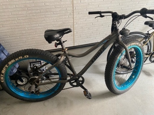 ファットバイク