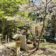 登山&ハイキング仲間