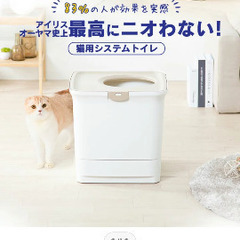 猫トイレ美品 猫の画像