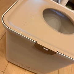 猫トイレ美品 猫の画像