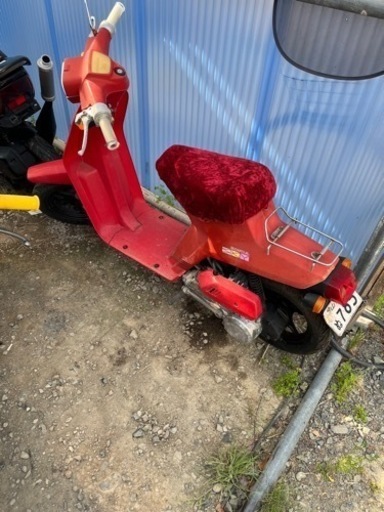 ホンダ　旧車　スカイ