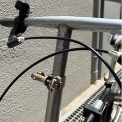 JAUGARE SPORTS Night Boy