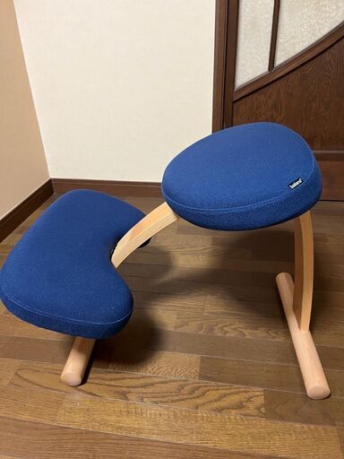 手渡し希望　バランスチェア イージー（+カバー） Rybo社 リボ社