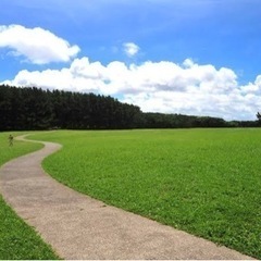 6月3日(土)稲毛海岸公園散策コン