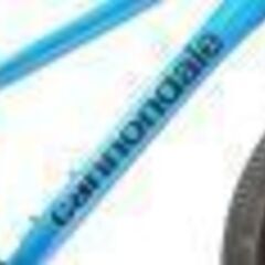 CANNONDALE 「キャノンデール」 QUICK20 2020年モデル キッズバイク　5223051500101の画像