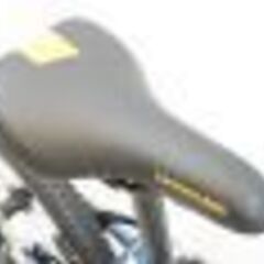CANNONDALE 「キャノンデール」 QUICK20 2020年モデル キッズバイク　5223051500101の画像