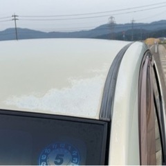 車検一年付の軽自動車　禁煙車　室内キレイ　ムーブの画像
