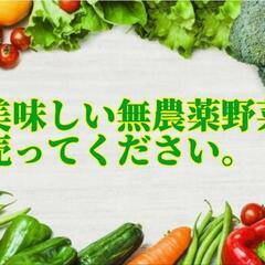 美味しい無農薬野菜売ってください
