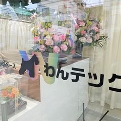 トリマー募集　実務経験3年以上の画像