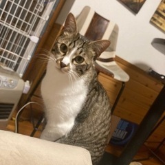 仲良し兄弟