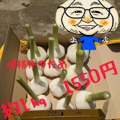 規格外　にんにく（値下げ）