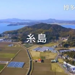 きゅうりの収穫作業できる方大募集！！