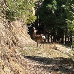 🐗初心者のための狩猟コーディネートin奈良🦌