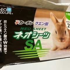 ペットシーツ