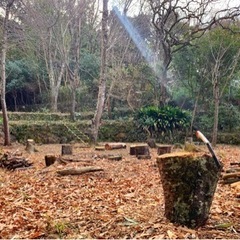 ⭐︎大好評⭐︎電車で行ける貸切キャンプ場（駅から徒歩10分） - 八尾市