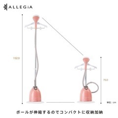 スチームアイロン、お値下げ交渉可の画像