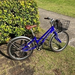 ルイガノ　22インチ　ブルー