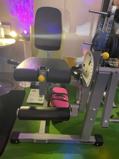 アイロンテック　レッグエクステンション/カール