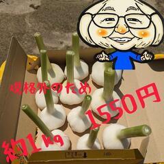 規格外にんにく（値下げ）