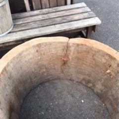 金魚の池、丸太の切り抜き、大きな丸太、テーブル、丸太テーブル、