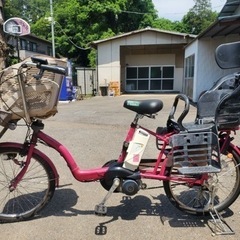 2484番　電動自転車