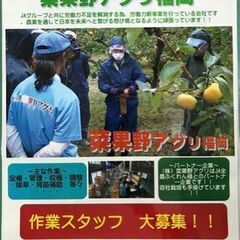 ☆急募　作業スタッフ大募集！！