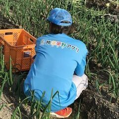 ☆急募　作業スタッフ大募集！！の画像